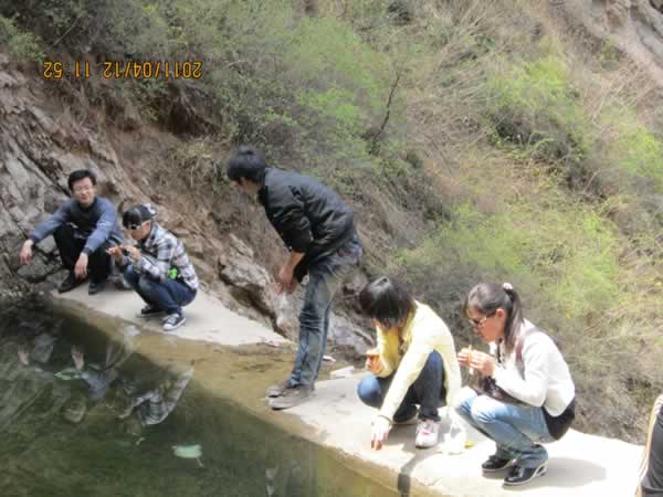 �p���{֮��c