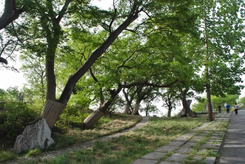 ��ފy���ǧ��Θ�