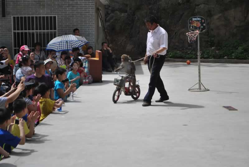 �����T����܇