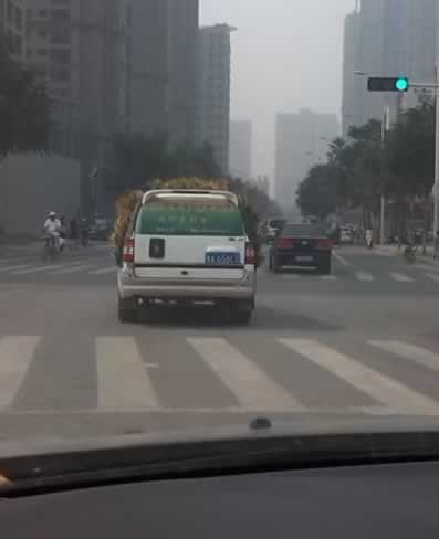 һ�����L(f��ng)�ľGɫ܇