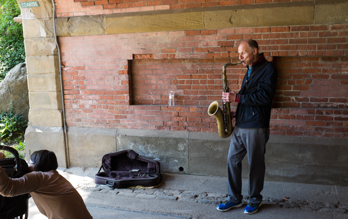 �W(w��ng)վ���O(sh��)��ƽ��ˇ�g(sh��)