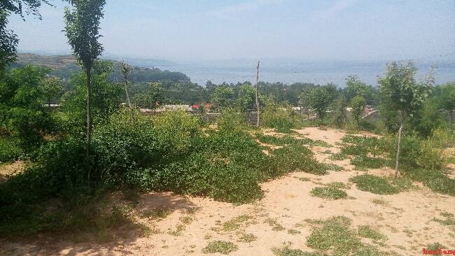 ꑜ�ˮ�����(w��)�^(q��)��ɫ