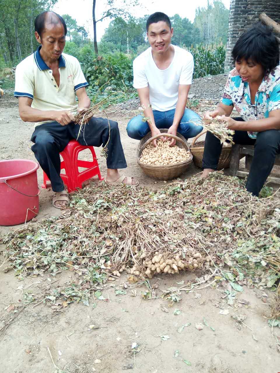 �Ʒ�2016���﹝(ji��)׌���c��ĸ�F�A���